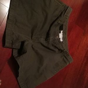Ann Taylor Loft Olive shorts